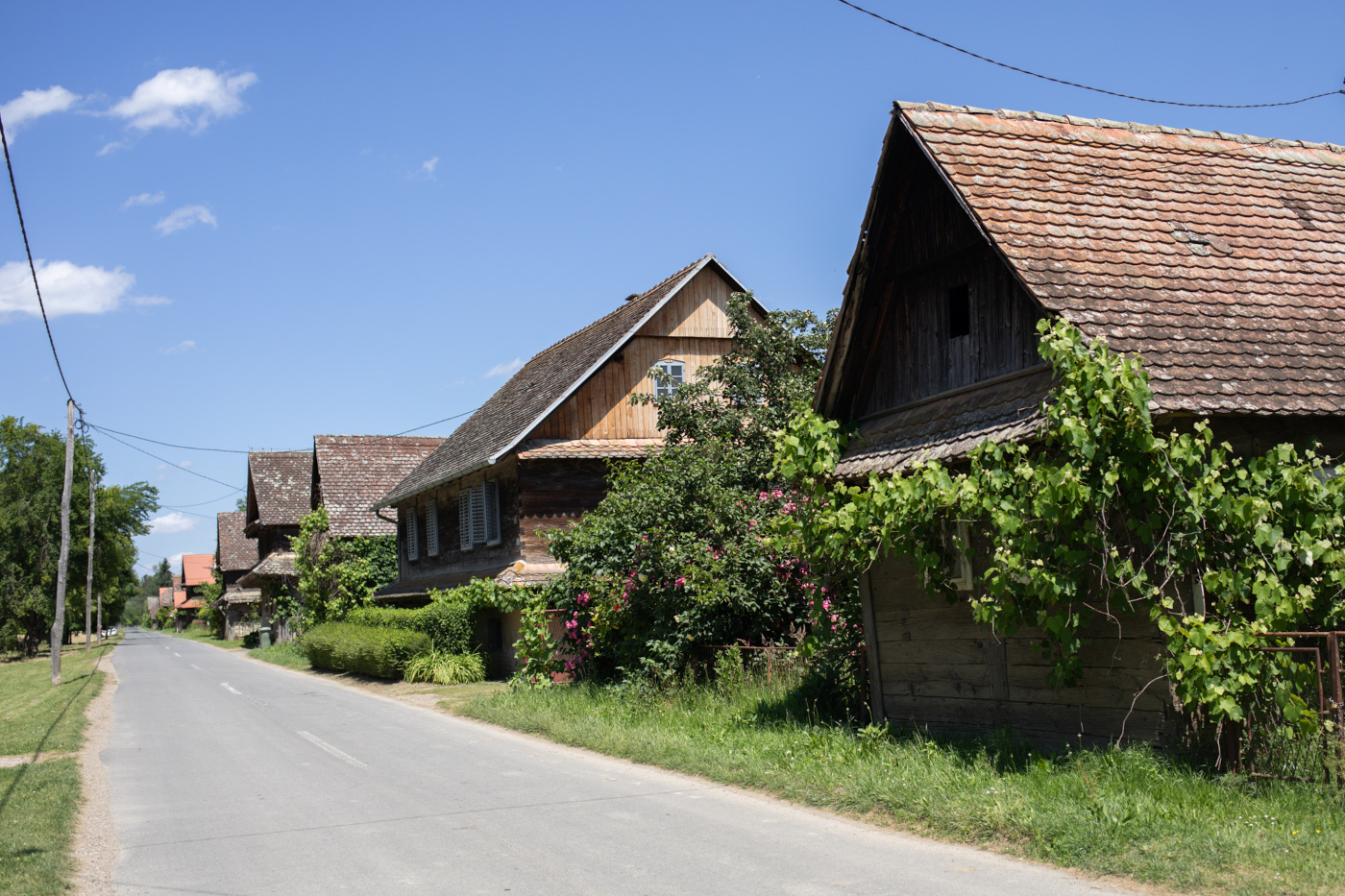 SELO KRAPJE