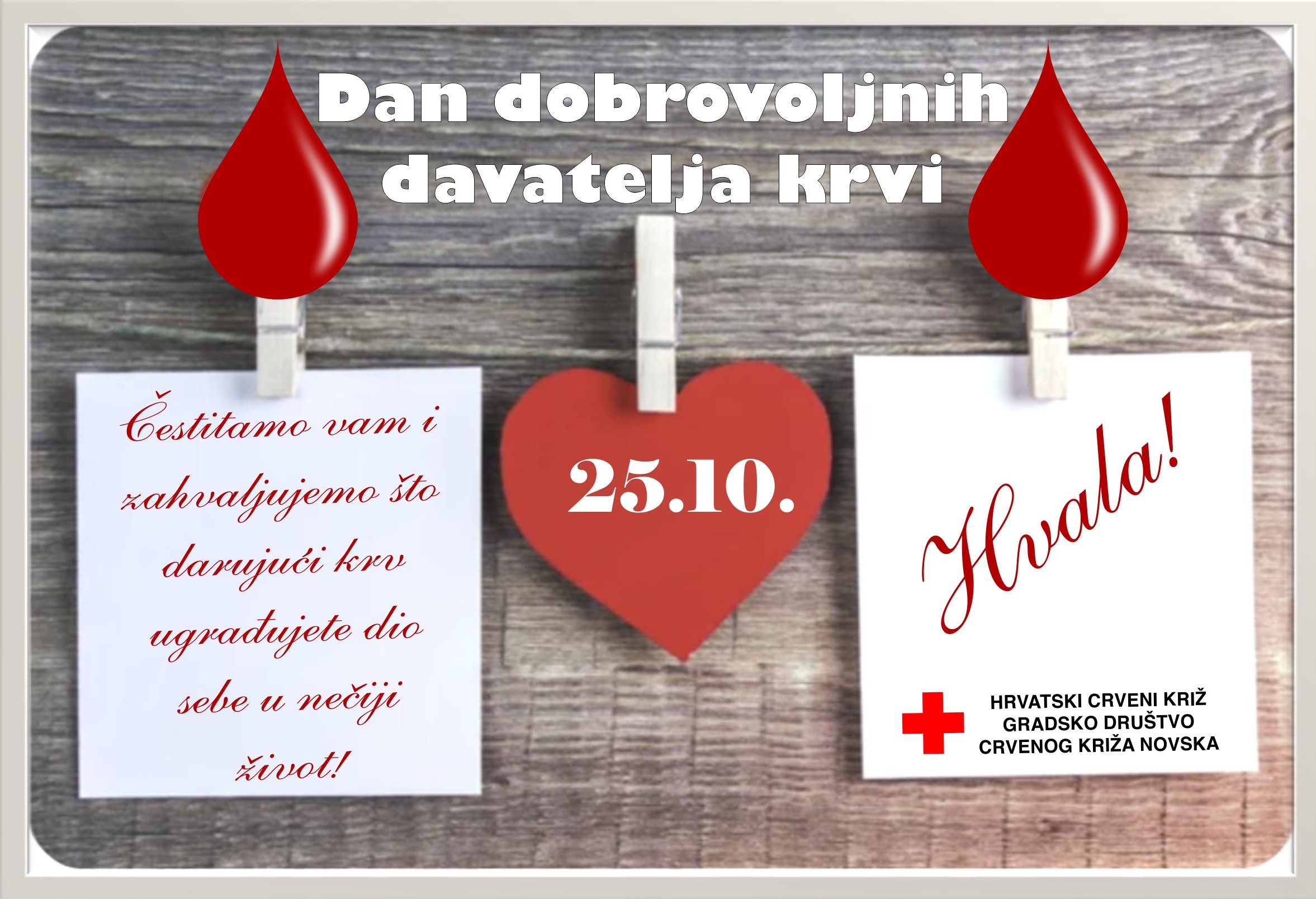 Cestitka DDK 2025