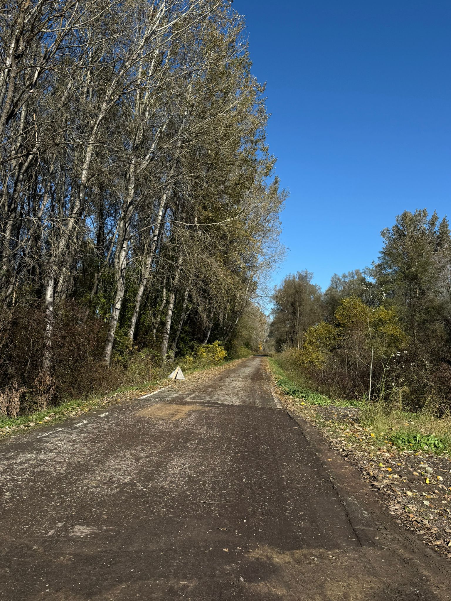 IMG 20251024 WA0004