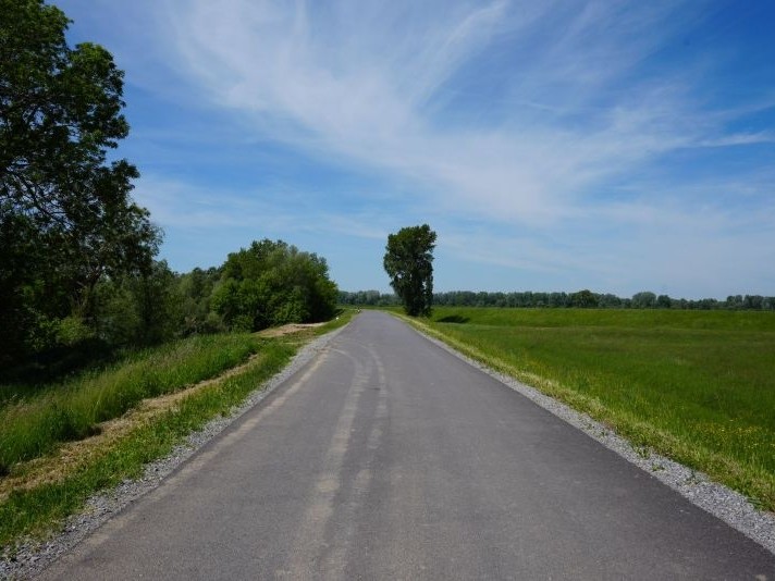 Zbog hitnih radova zatvara se cesta Jasenovac – Ilman do 19. svibnja